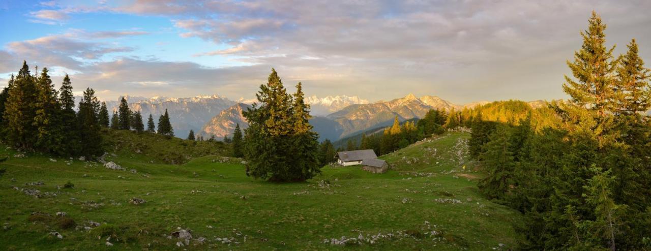 Chalet Harmonie Inzell Zewnętrze zdjęcie